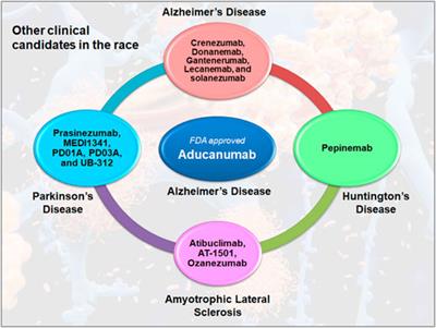 Topical Insights Into the Post-Approval Controversies of Aducanumab